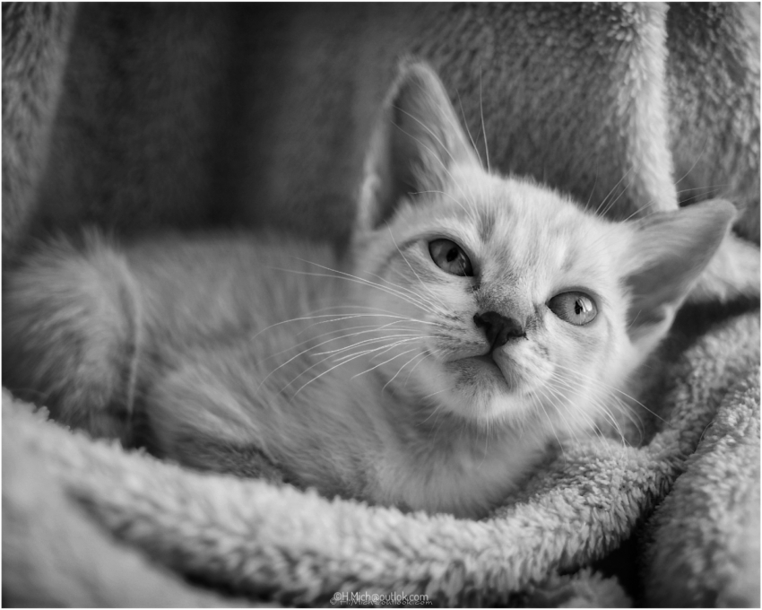 Studio-One.Art.br Repo Fotografia em Rio Preto SP/Brasil