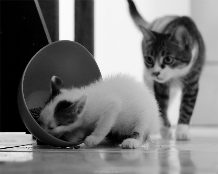 Studio-One.Art.br Repo Fotografia em Rio Preto SP/Brasil