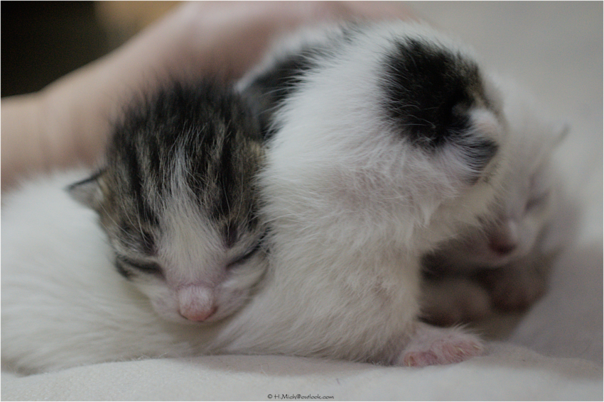 Studio-One.Art.br Repo Fotografia em Rio Preto SP/Brasil