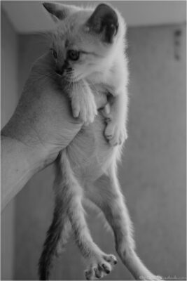 © H.mich@outlook.com