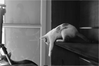 © H.mich@outlook.com