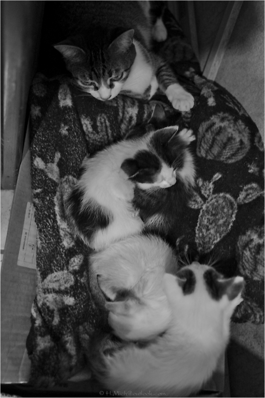 Studio-One.Art.br Repo Fotografia em Rio Preto SP/Brasil