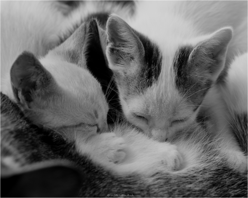 Studio-One.Art.br Repo Fotografia em Rio Preto SP/Brasil