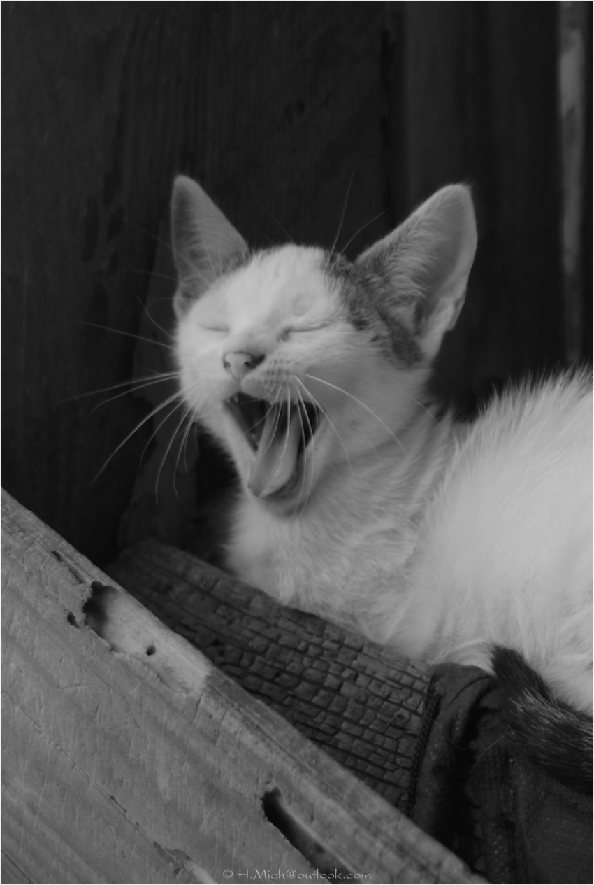 Studio-One.Art.br Repo Fotografia em Rio Preto SP/Brasil