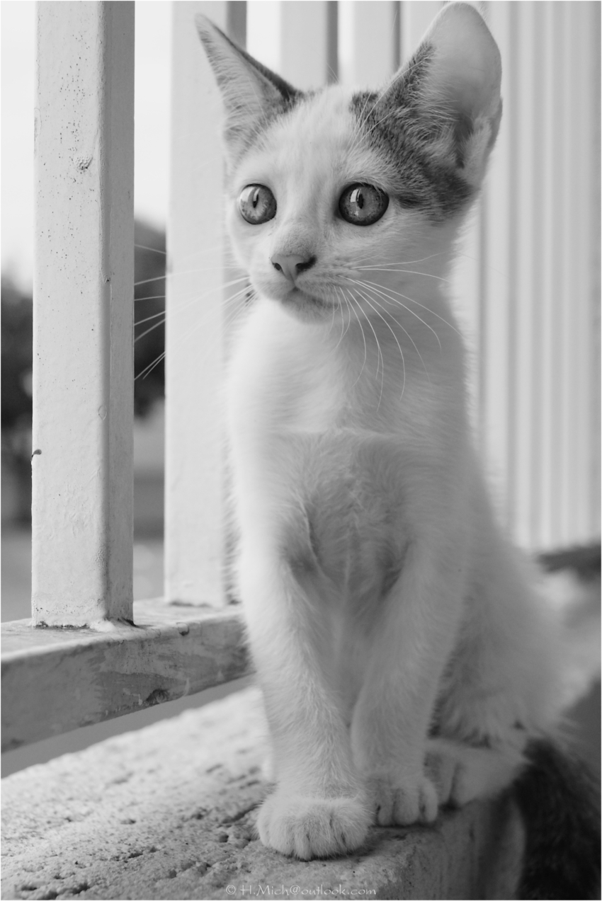 Studio-One.Art.br Repo Fotografia em Rio Preto SP/Brasil