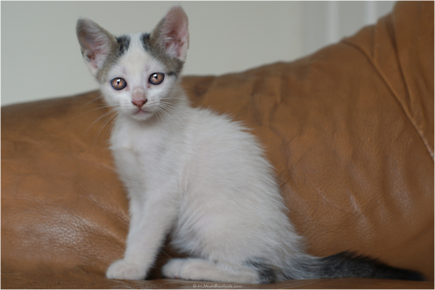 Studio-One.Art.br Repo Fotografia em Rio Preto SP/Brasil