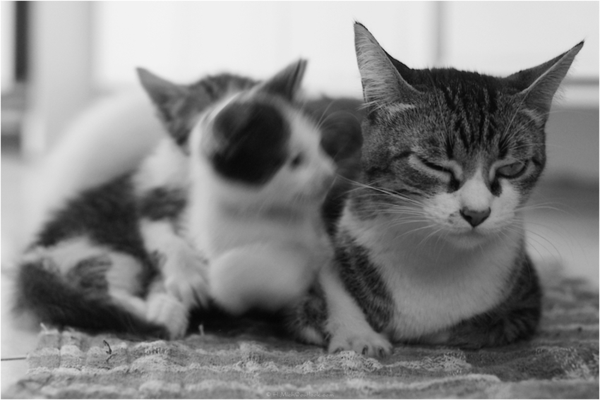 Studio-One.Art.br Repo Fotografia em Rio Preto SP/Brasil