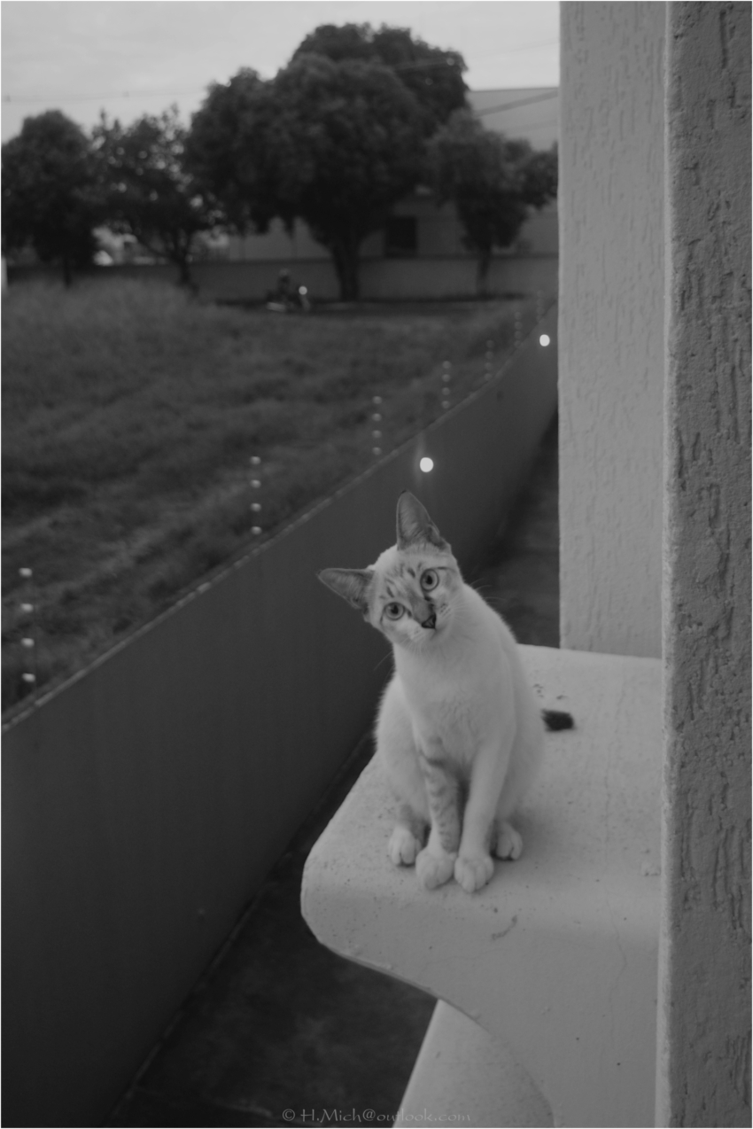 Studio-One.Art.br Repo Fotografia em Rio Preto SP/Brasil