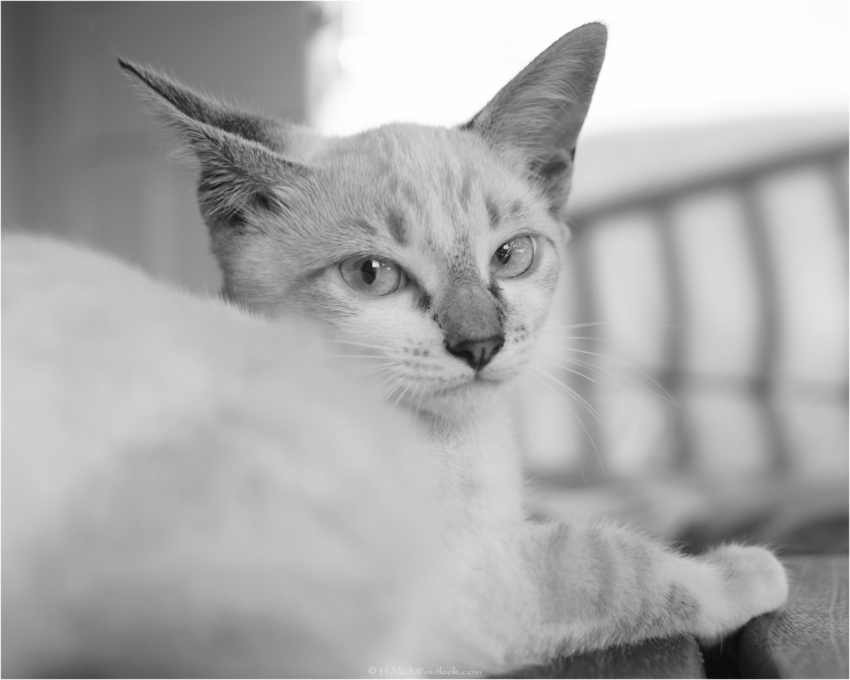 Studio-One.Art.br Repo Fotografia em Rio Preto SP/Brasil