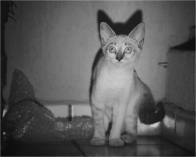 © H.mich@outlook.com