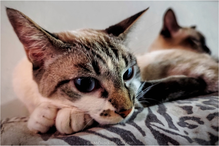 Studio-One.Art.br Repo Fotografia em Rio Preto SP/Brasil