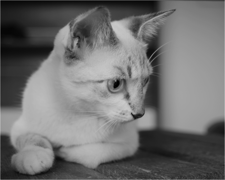 Studio-One.Art.br Repo Fotografia em Rio Preto SP/Brasil