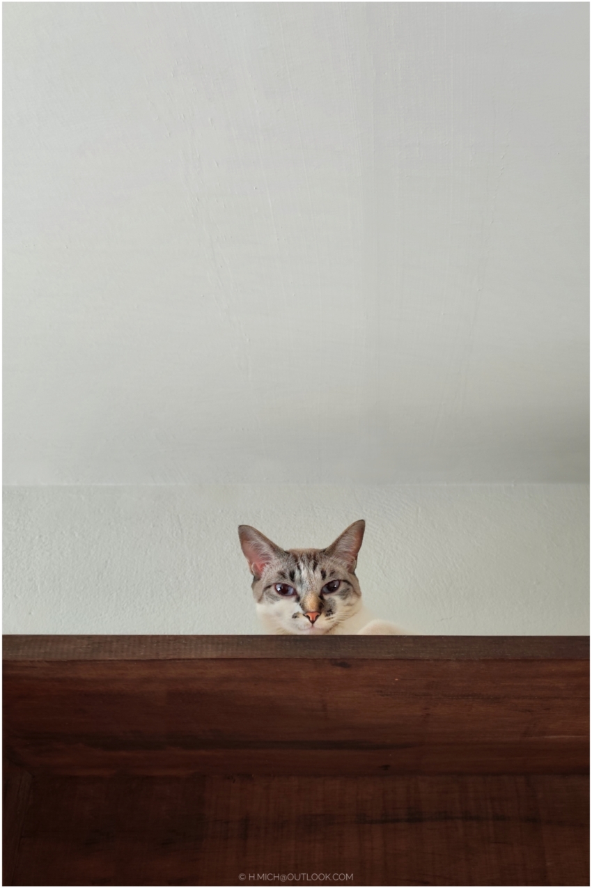 Studio-One.Art.br Repo Fotografia em Rio Preto SP/Brasil