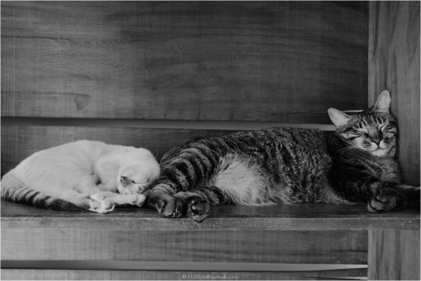 Studio-One.Art.br Repo Fotografia em Rio Preto SP/Brasil