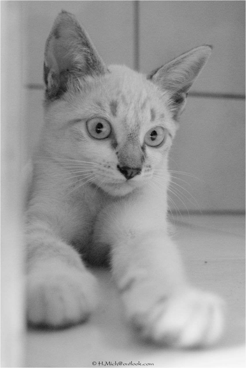 Studio-One.Art.br Repo Fotografia em Rio Preto SP/Brasil