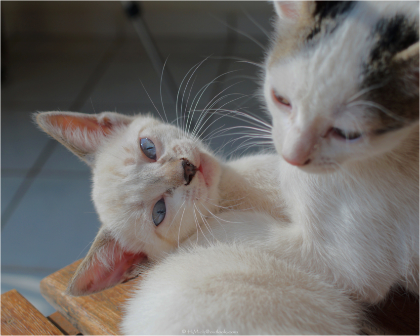 Studio-One.Art.br Repo Fotografia em Rio Preto SP/Brasil