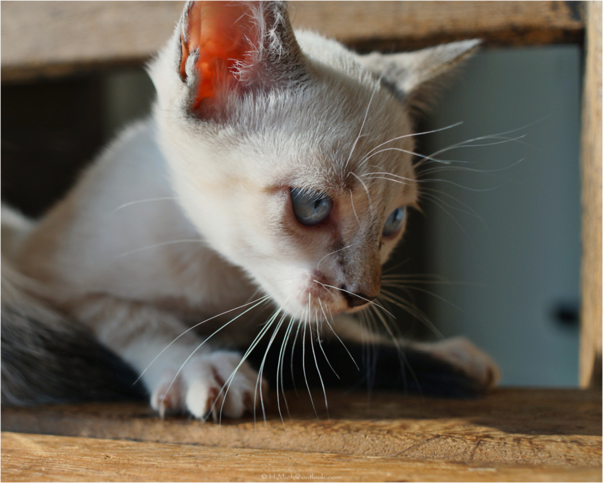 Studio-One.Art.br Repo Fotografia em Rio Preto SP/Brasil