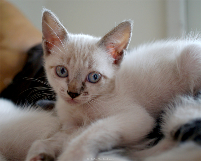 Studio-One.Art.br Repo Fotografia em Rio Preto SP/Brasil