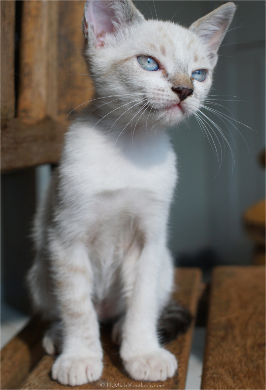 Studio-One.Art.br Repo Fotografia em Rio Preto SP/Brasil