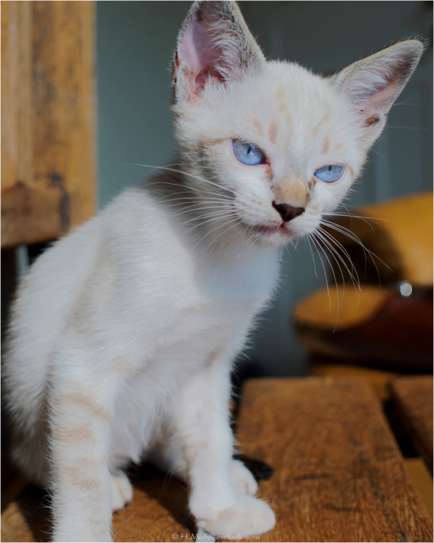 Studio-One.Art.br Repo Fotografia em Rio Preto SP/Brasil