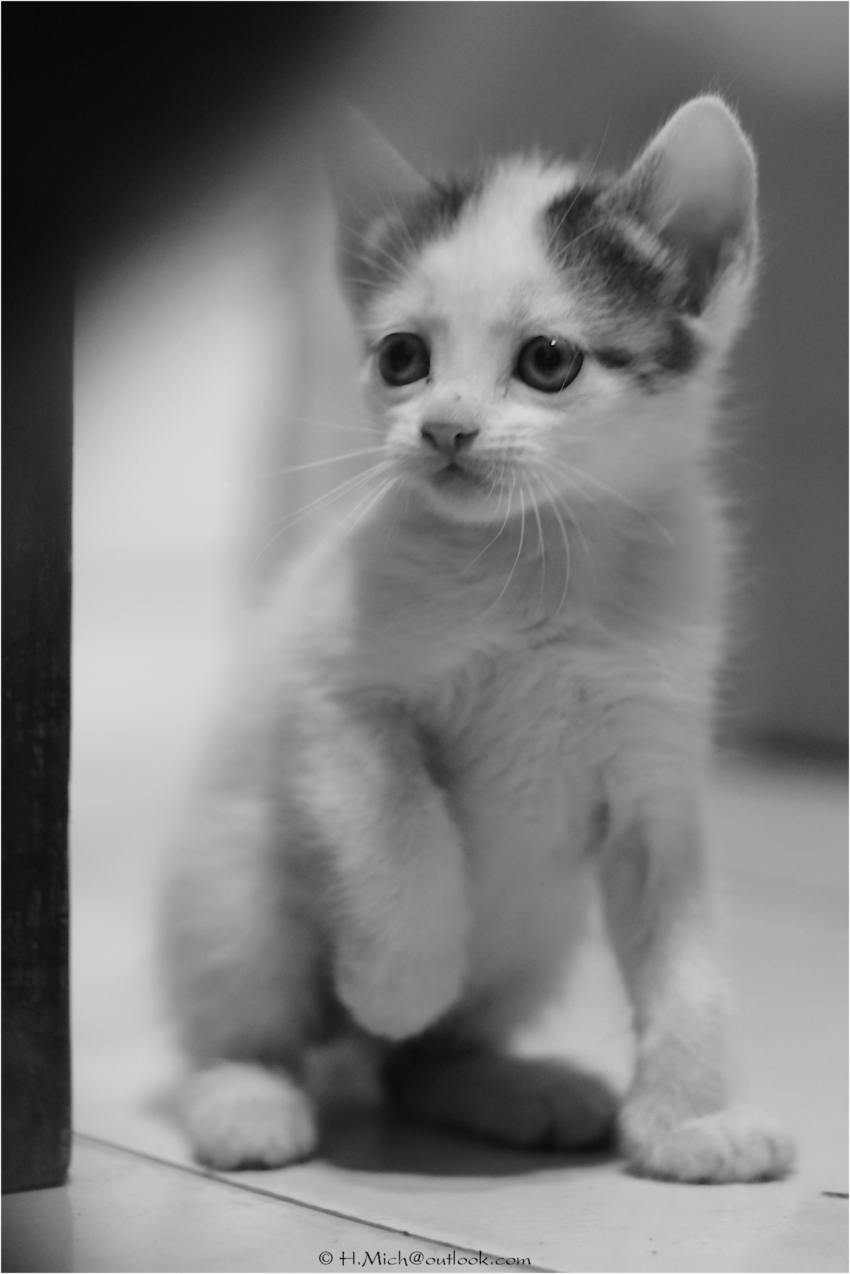 Studio-One.Art.br Repo Fotografia em Rio Preto SP/Brasil