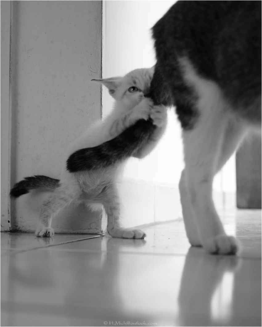 Studio-One.Art.br Repo Fotografia em Rio Preto SP/Brasil