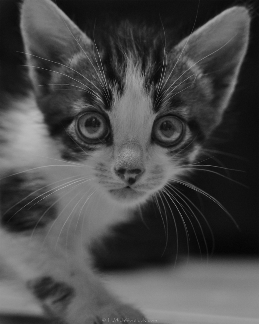 Studio-One.Art.br Repo Fotografia em Rio Preto SP/Brasil