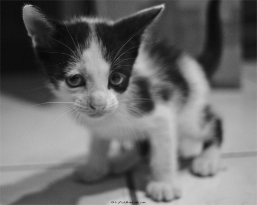 Studio-One.Art.br Repo Fotografia em Rio Preto SP/Brasil