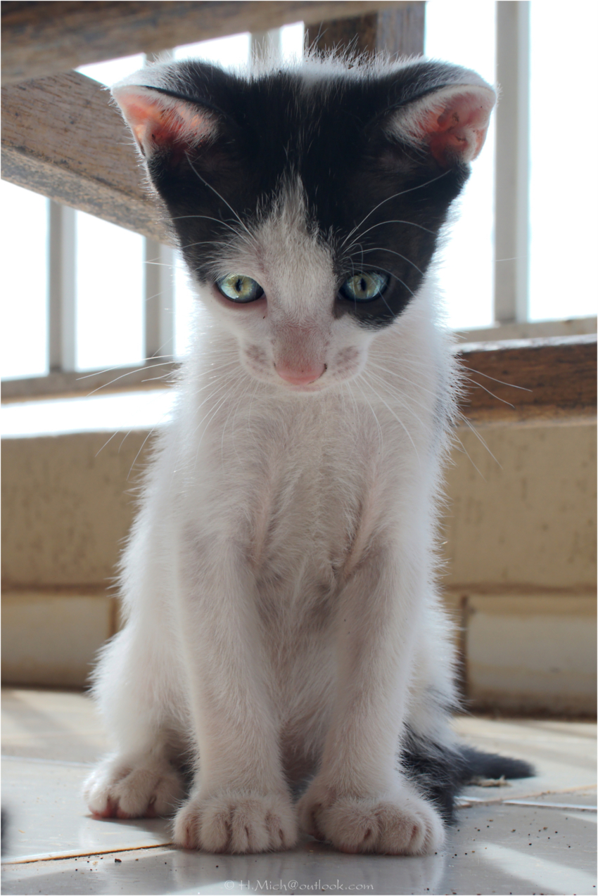 Studio-One.Art.br Repo Fotografia em Rio Preto SP/Brasil