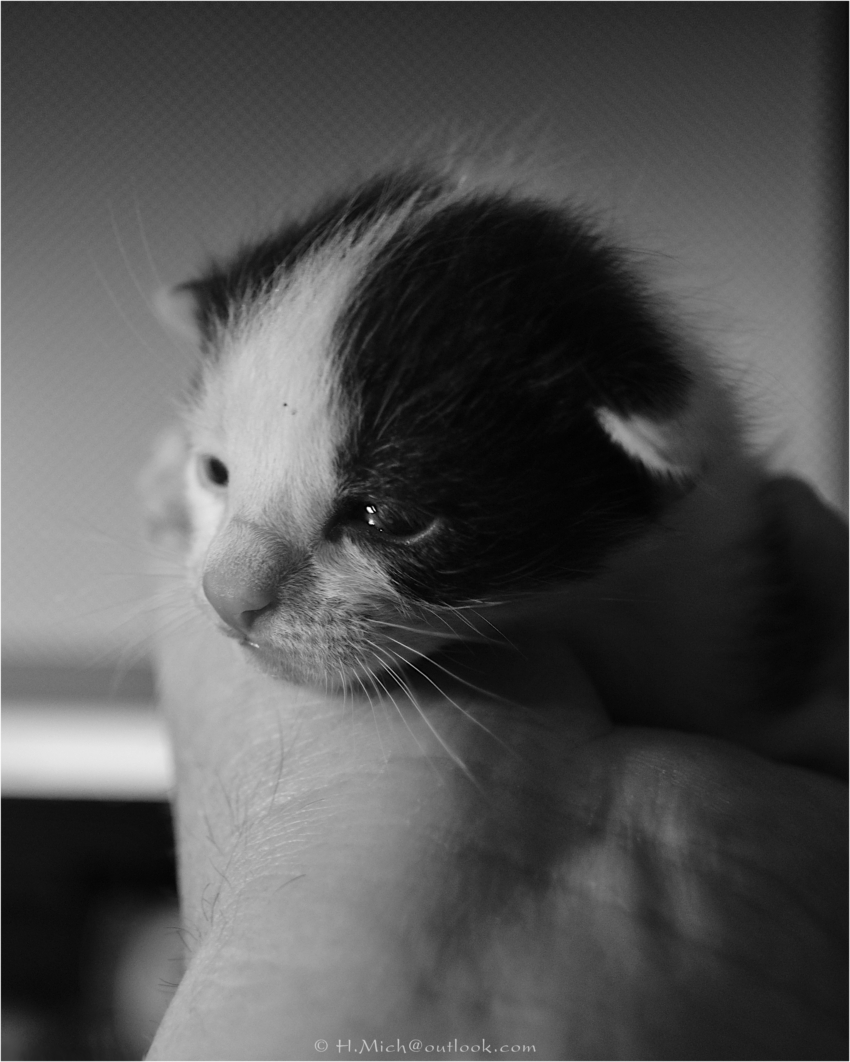 Studio-One.Art.br Repo Fotografia em Rio Preto SP/Brasil