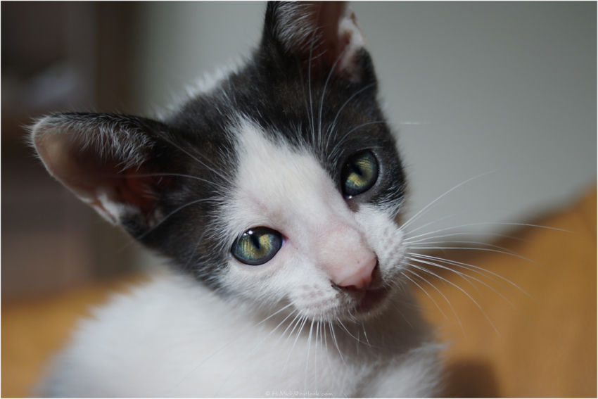 Studio-One.Art.br Repo Fotografia em Rio Preto SP/Brasil