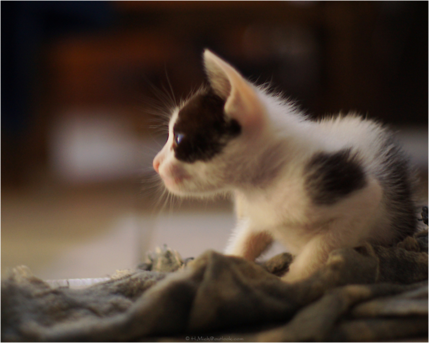 Studio-One.Art.br Repo Fotografia em Rio Preto SP/Brasil