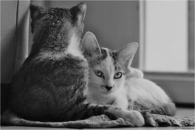 © H.mich@outlook.com
