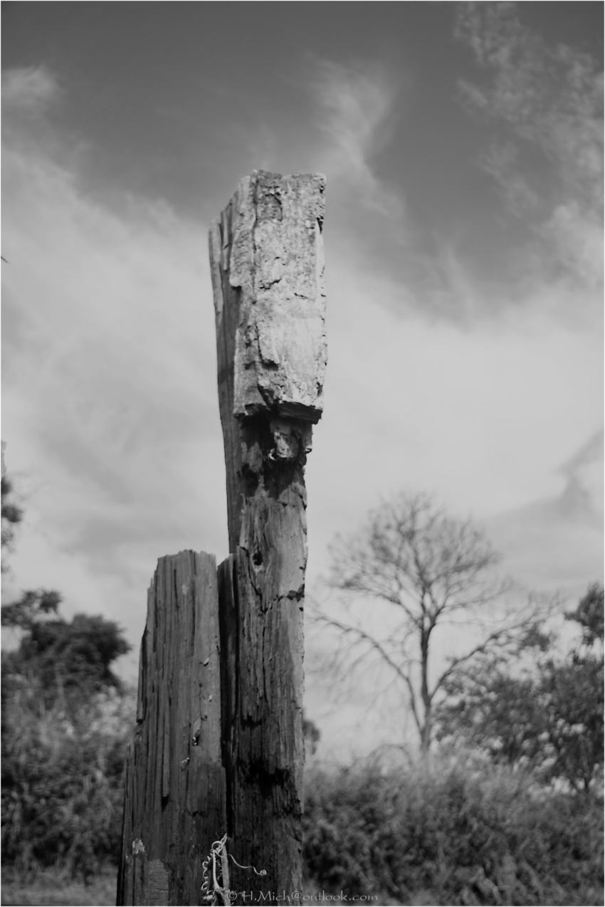 Studio-One.Art.br Repo Fotografia em Rio Preto SP/Brasil