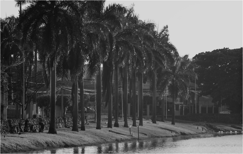 Studio-One.Art.br Repo Fotografia em Rio Preto SP/Brasil