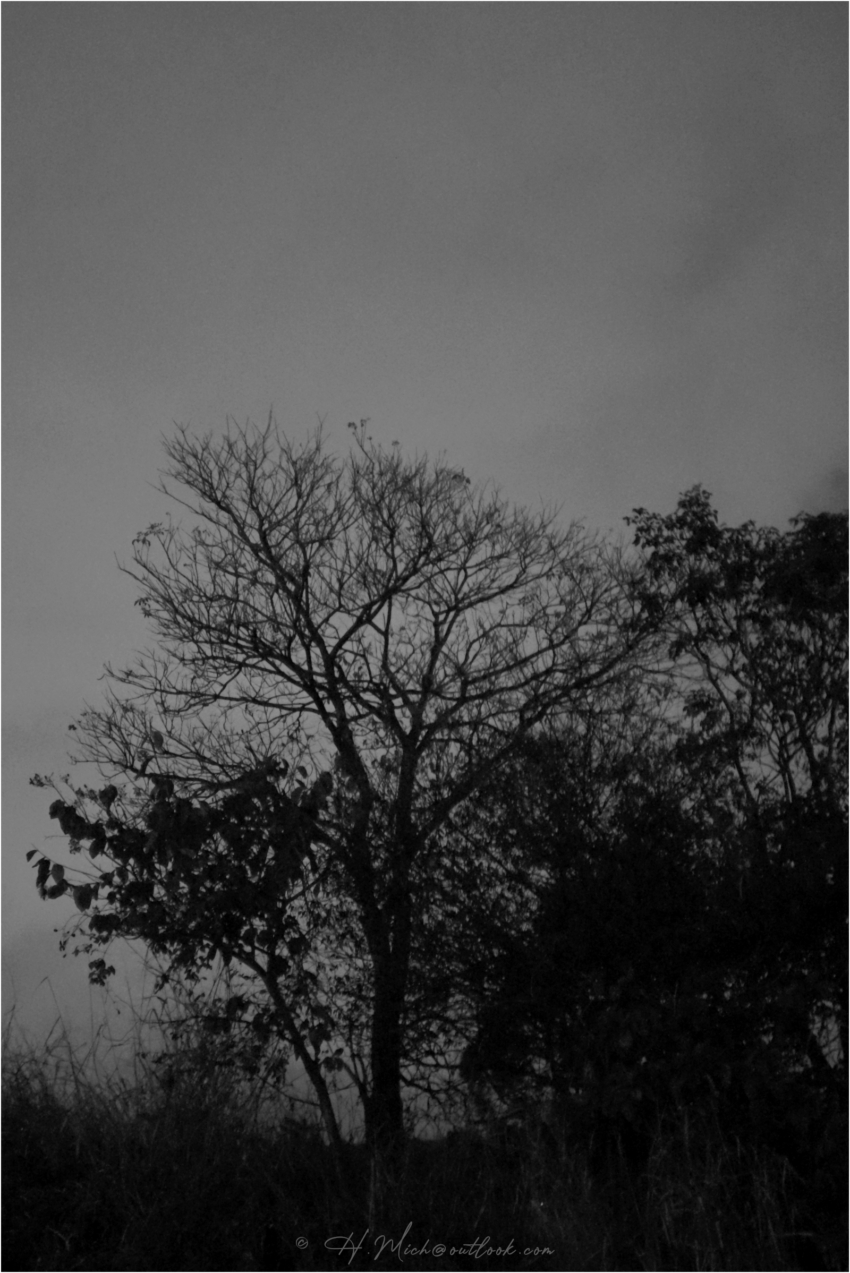 Studio-One.Art.br Repo Fotografia em Rio Preto SP/Brasil