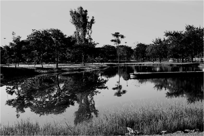 Studio-One.Art.br Repo Fotografia em Rio Preto SP/Brasil