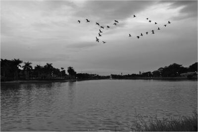 © H.mich@outlook.com