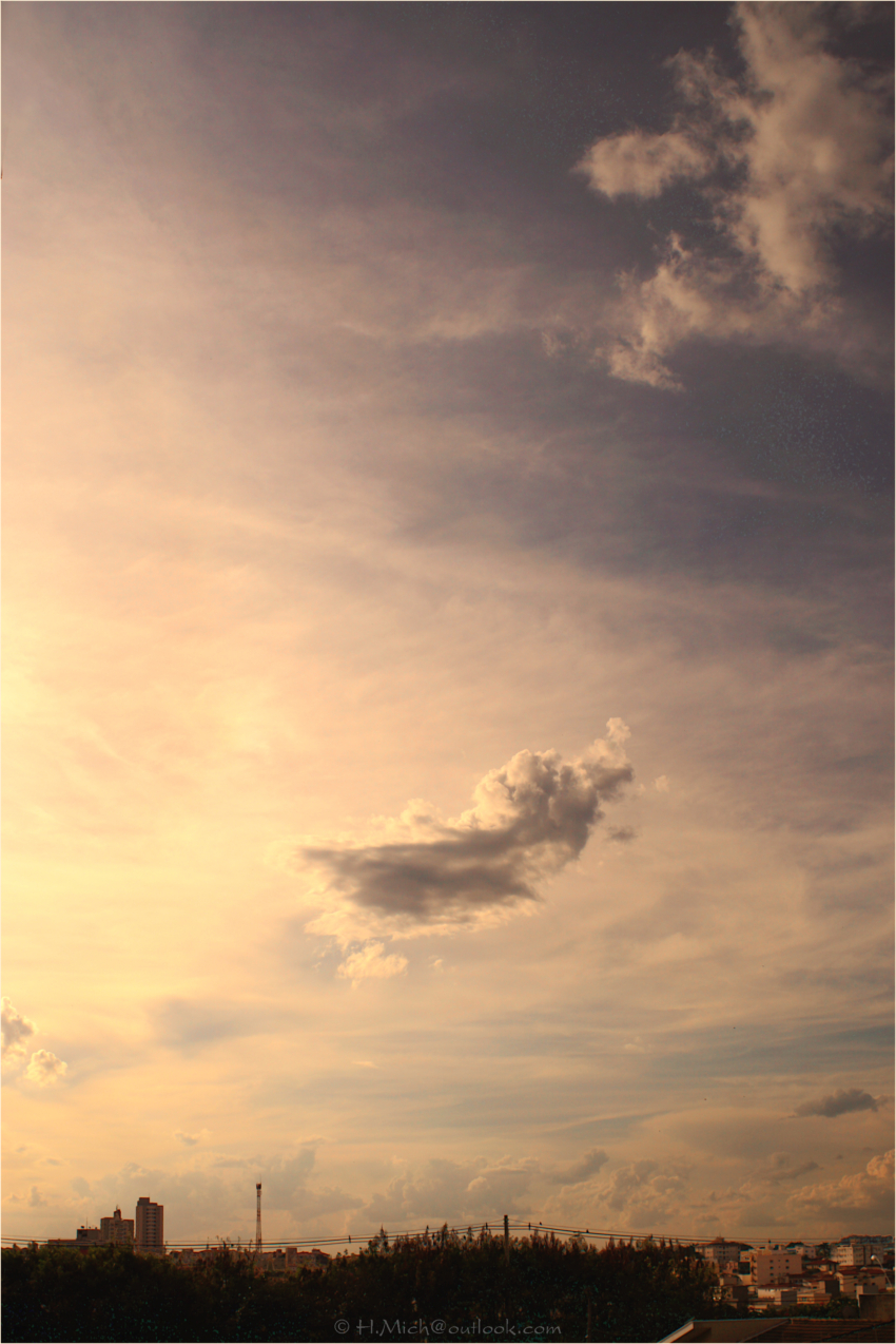 Studio-One.Art.br Repo Fotografia em Rio Preto SP/Brasil