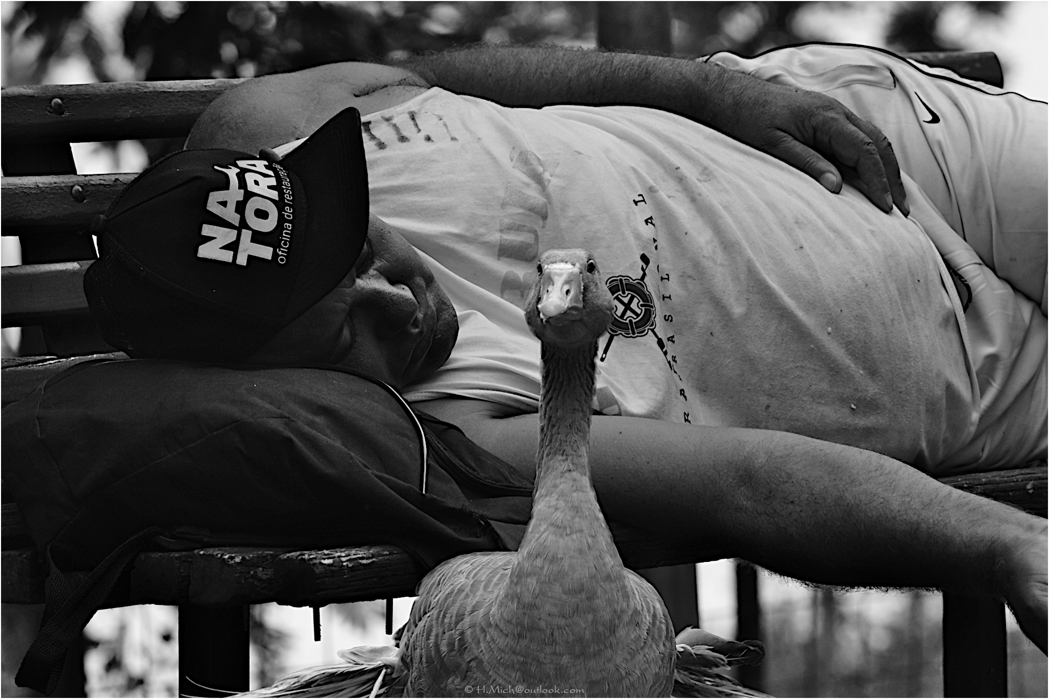 momentos de paz …