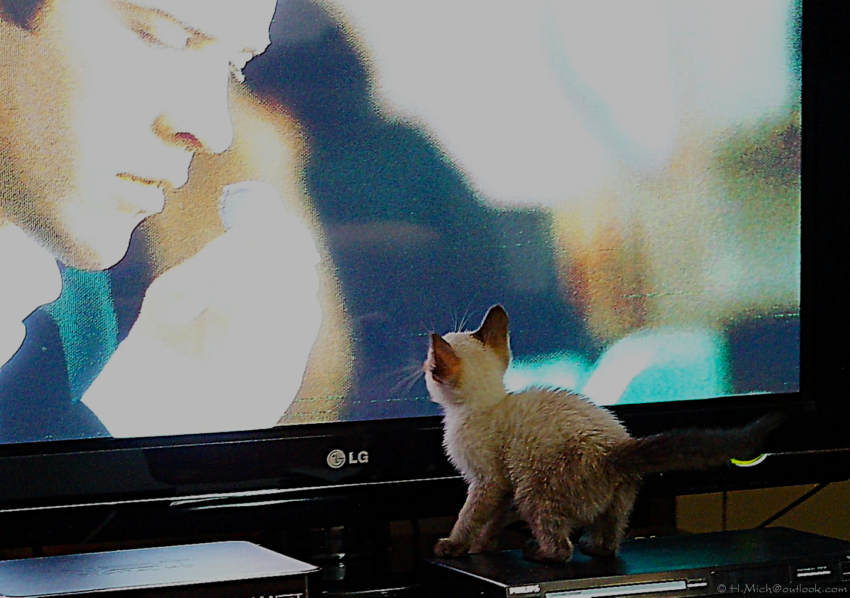 Studio-One.Art.br Repo Fotografia em Rio Preto SP/Brasil