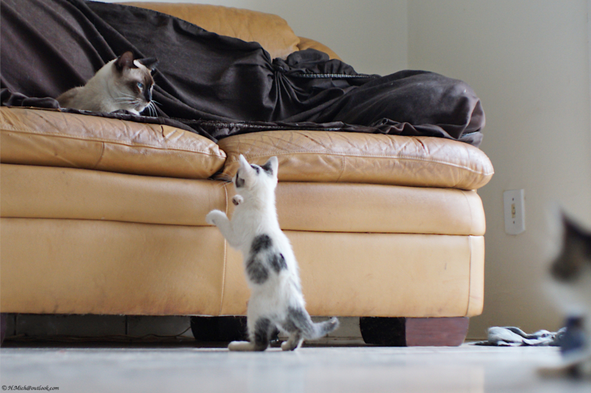 Studio-One.Art.br Repo Fotografia em Rio Preto SP/Brasil