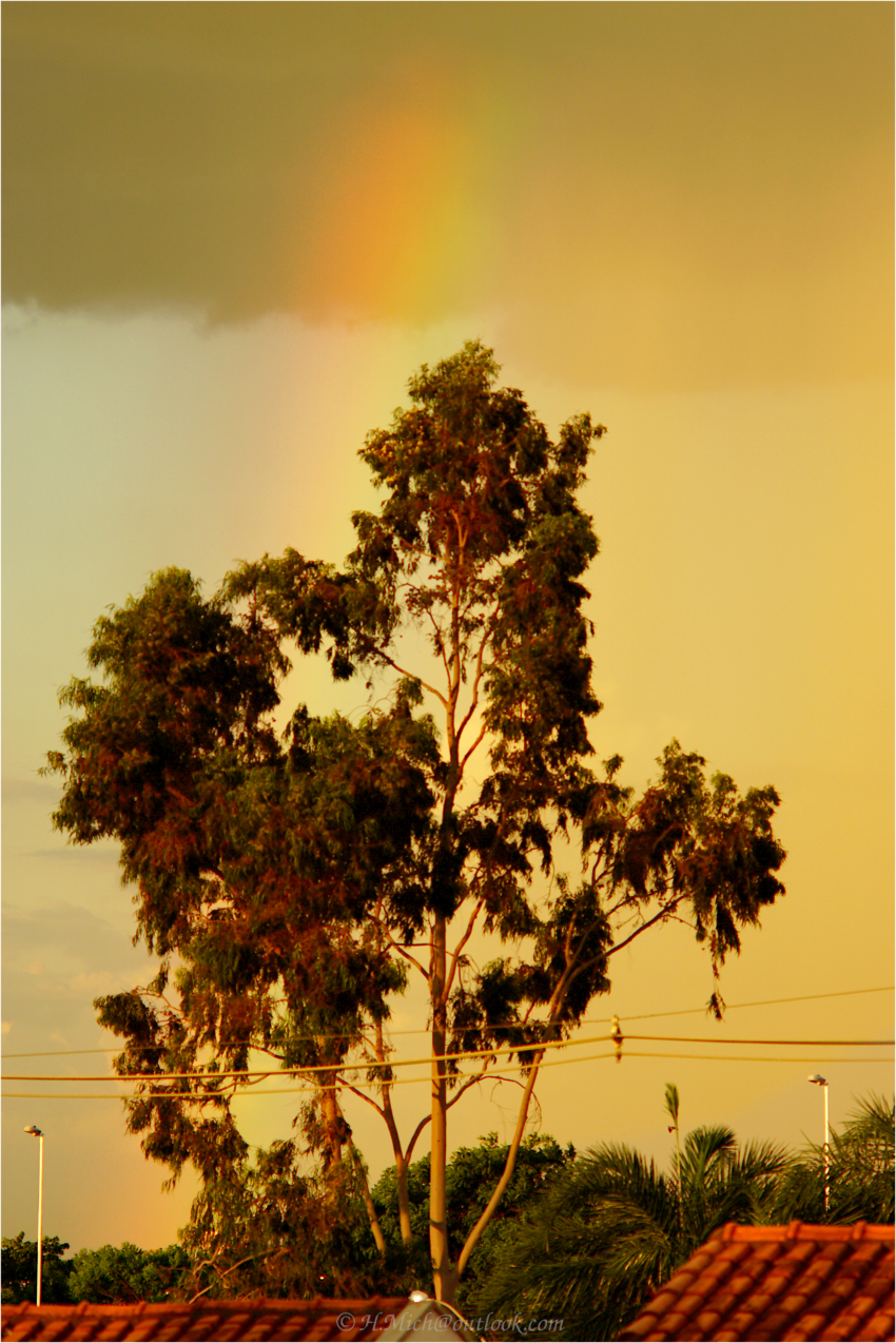 Studio-One.Art.br Repo Fotografia em Rio Preto SP/Brasil