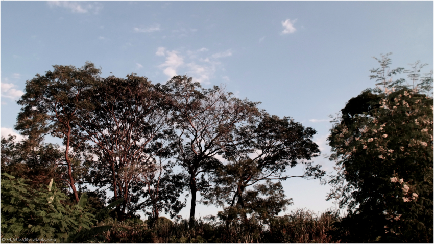 Studio-One.Art.br Repo Fotografia em Rio Preto SP/Brasil