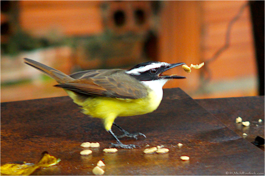 Studio-One.Art.br Repo Fotografia em Rio Preto SP/Brasil