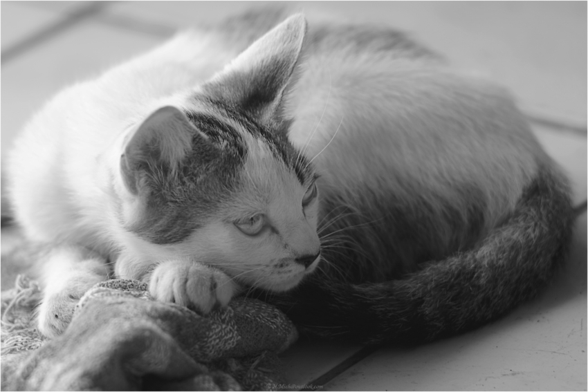 Studio-One.Art.br Repo Fotografia em Rio Preto SP/Brasil