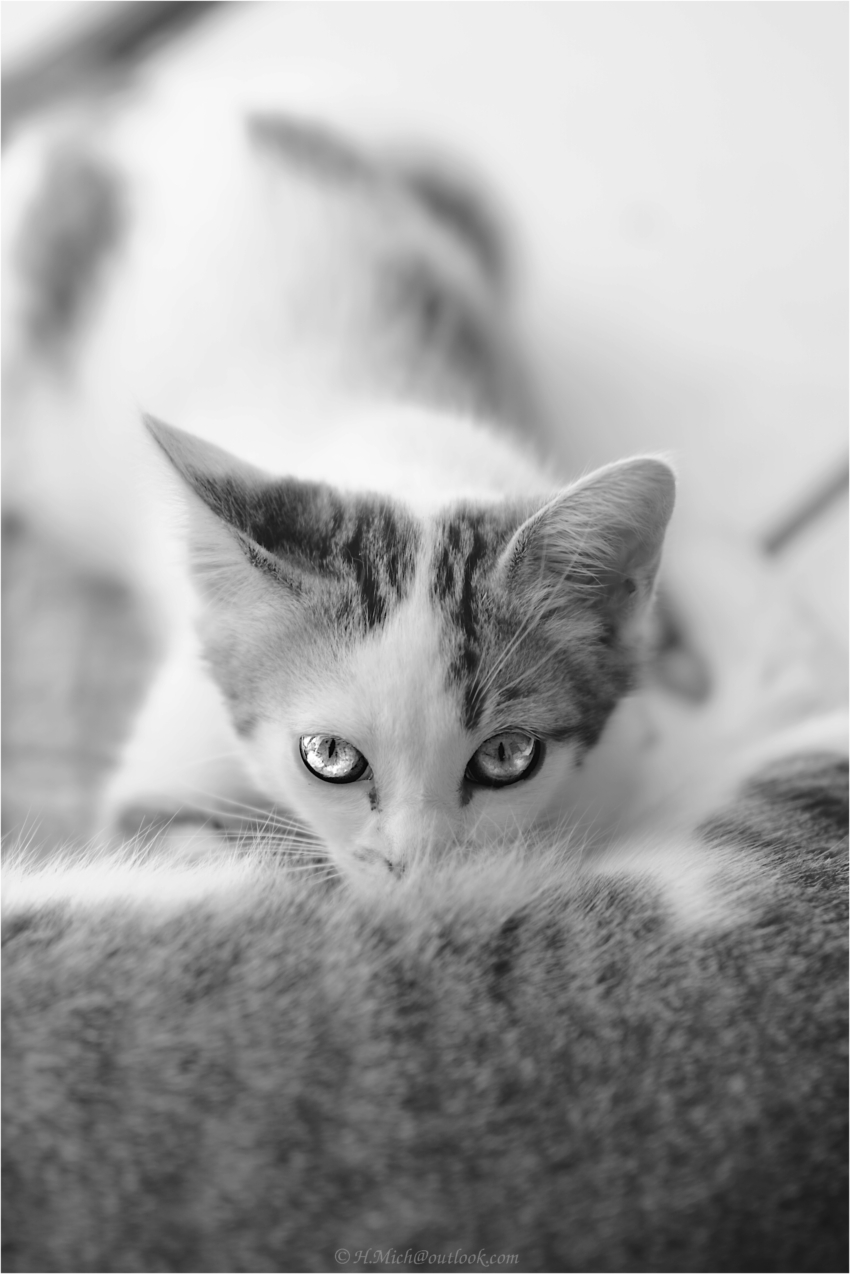 Studio-One.Art.br Repo Fotografia em Rio Preto SP/Brasil