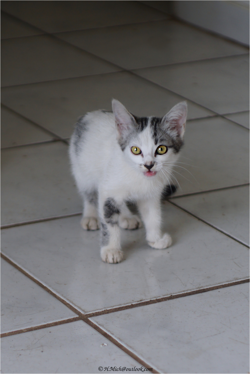 Studio-One.Art.br Repo Fotografia em Rio Preto SP/Brasil