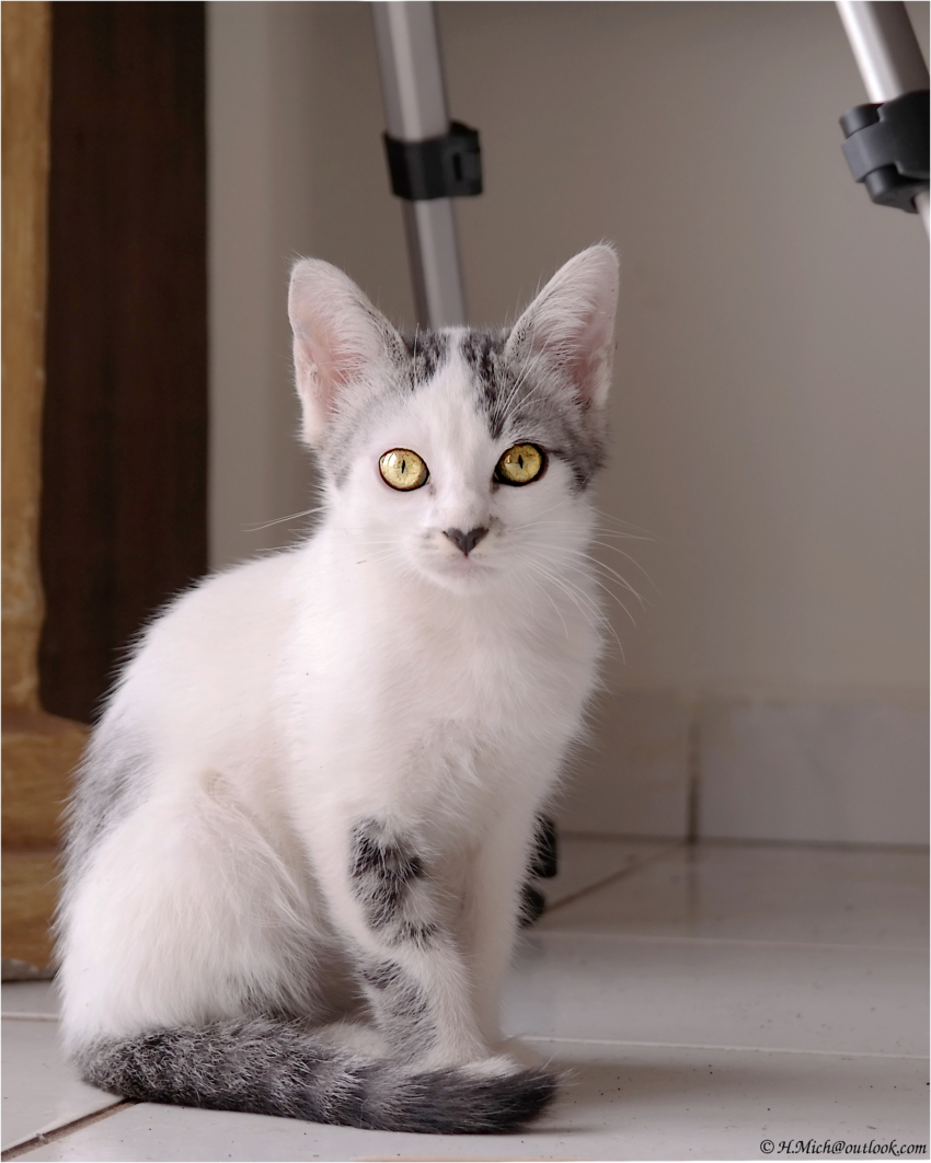 Studio-One.Art.br Repo Fotografia em Rio Preto SP/Brasil