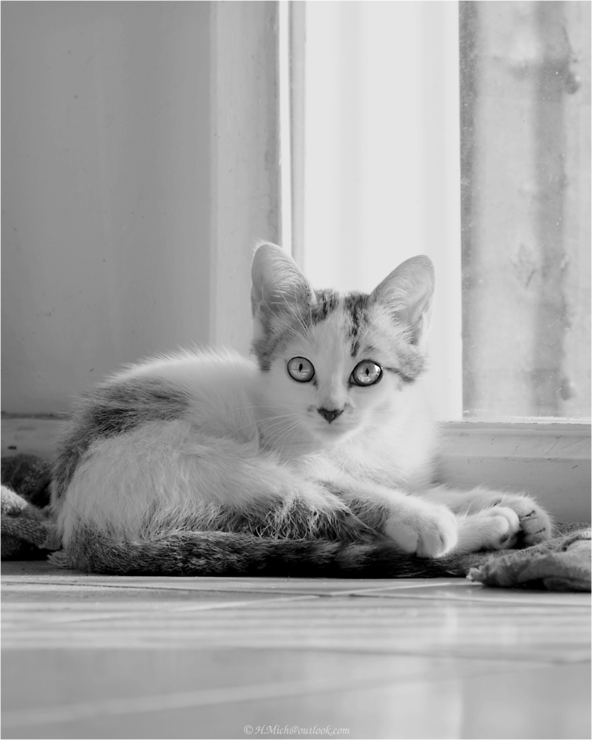 Studio-One.Art.br Repo Fotografia em Rio Preto SP/Brasil